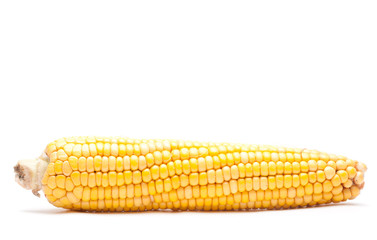 Corn