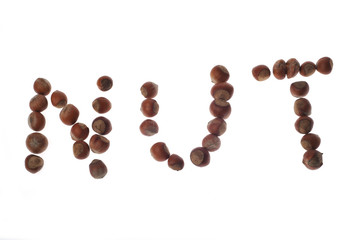 word NUT made from hazelnuts