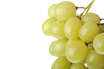 fresh and tasty green grapes