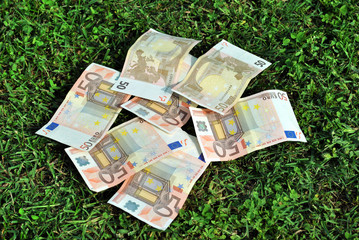 Banconote sull'erba