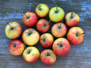 Apple fruit