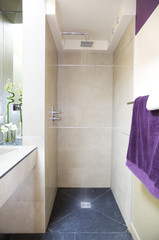 Modern Luxurious bathroom