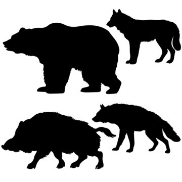 silhouettes of the wild boar, bear, wolf, hyena