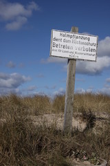 Dünenschutz auf Sylt