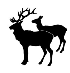 illustration of the deers on white background