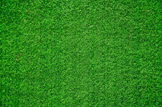 Green grass from above