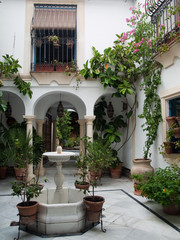 Fototapeta na wymiar Jasne i urządzone patio w Kordobie