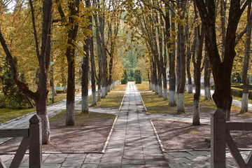Autumn in park