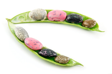 Ripe Haricot Beans with Seed and Leaves Isolated on White