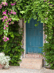 Fototapeta na wymiar Floral drzwi