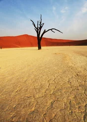  Namib desert © Galyna Andrushko