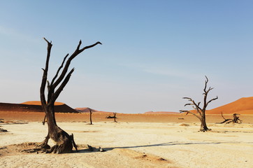 Namib