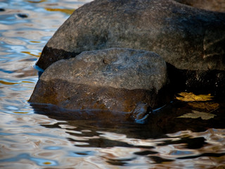 Reflecting Fall Foliage