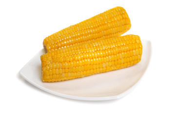 Two sweetcorn cobs  on plate