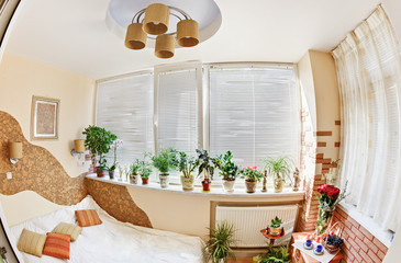 Sunny bedroom on balcony with Window and plants, fisheye view