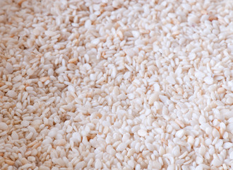 sesame