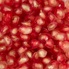 Pomegranate  seeds wallpaper