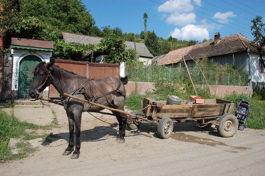 charette hypomobile