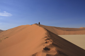 Fototapeta na wymiar Sossusvleiand climbing Big Sand dune