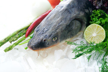 Fresh sturgeon head decorated w/ice & vegetables