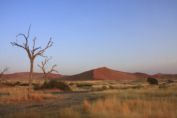 Sossusvlei sand dune national park