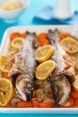 backed seabass