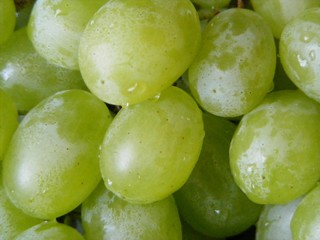 the grapes