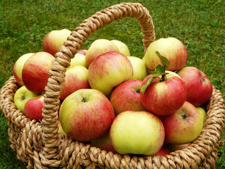 Apfelkorb I