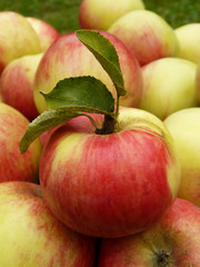 Apfel III
