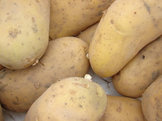 pomme de terre