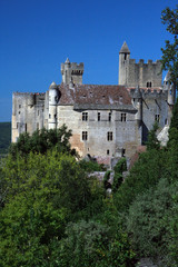 Fototapeta na wymiar Pionowy zamek zewnętrzny Beynac