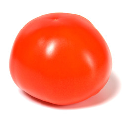 single red tomato isolated  on white background