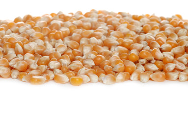 isolated popcorn