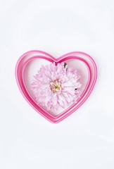 Hearts and flower