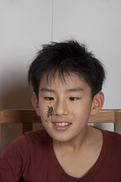 young Asian boy looking closely at a bug