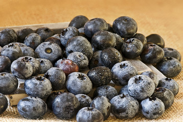 Blaubeeren