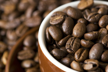 Kaffeebohnen