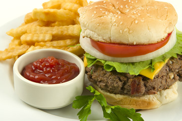 Hamburger and fries