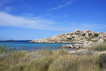 Fototapeta na wymiar Wyspy Lavezzi Korsyka Południowa
