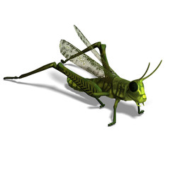 green grasshopper