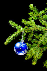 Christmas bauble on background tree