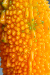 Exotic fruit mamardica from Caucasus