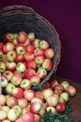 gastronomie fruit 02