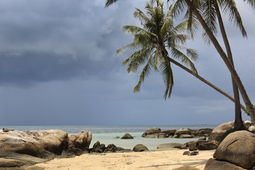 Tropical beach. © Stephane BENITO