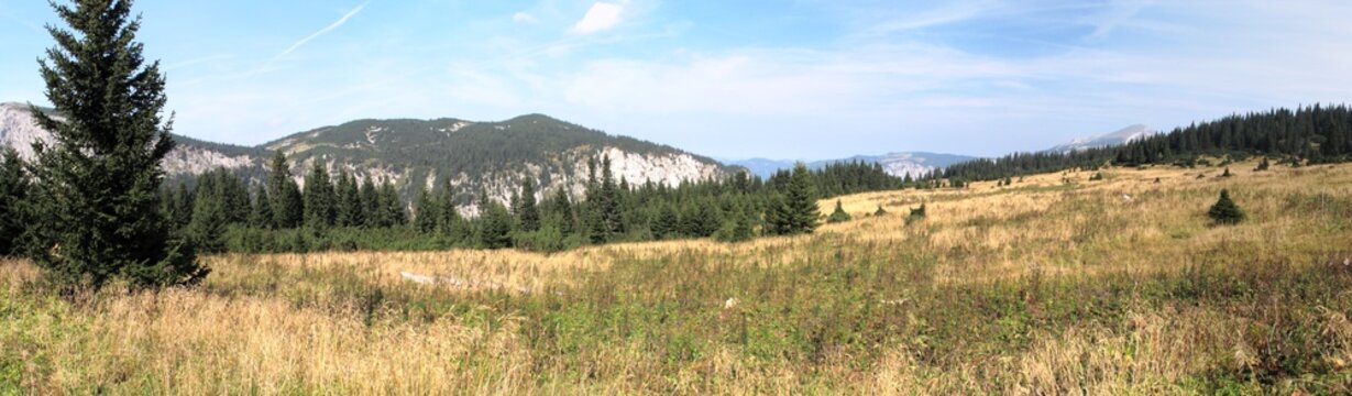 mountain meadow in Rax Alps