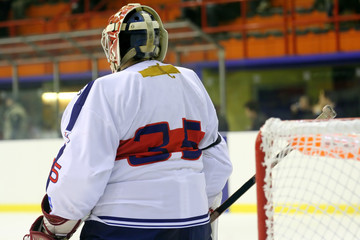 hockey goalie