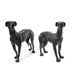 Fototapeta premium Hunde