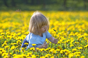 boy in a dandelion field