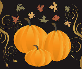 Fall 2