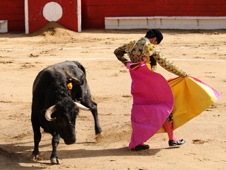 Matador & Bull